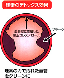 珪素のデトックス効果　珪素の力で汚れた血管をクリーンに