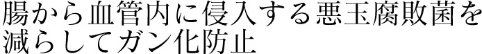 腸から血管内に侵入する悪玉腐敗菌を減らしてガン化防止